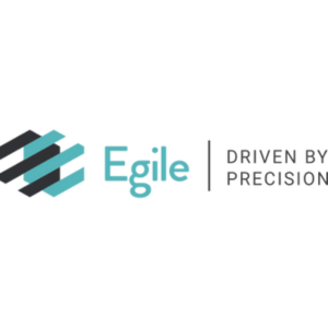 Egile