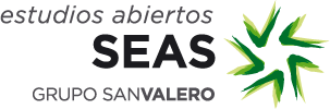 SEAS ESTUDIOS SUPERIORES ABIERTOS (GRUPO SAN VALERO)